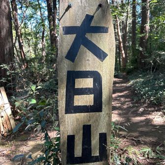 ちゃく💦