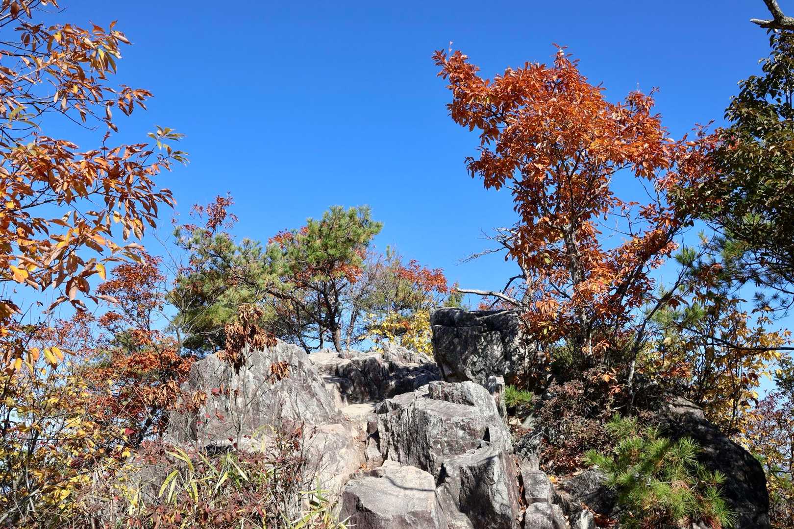 しばらく登って行くと