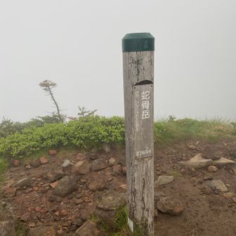 視界ゼロ