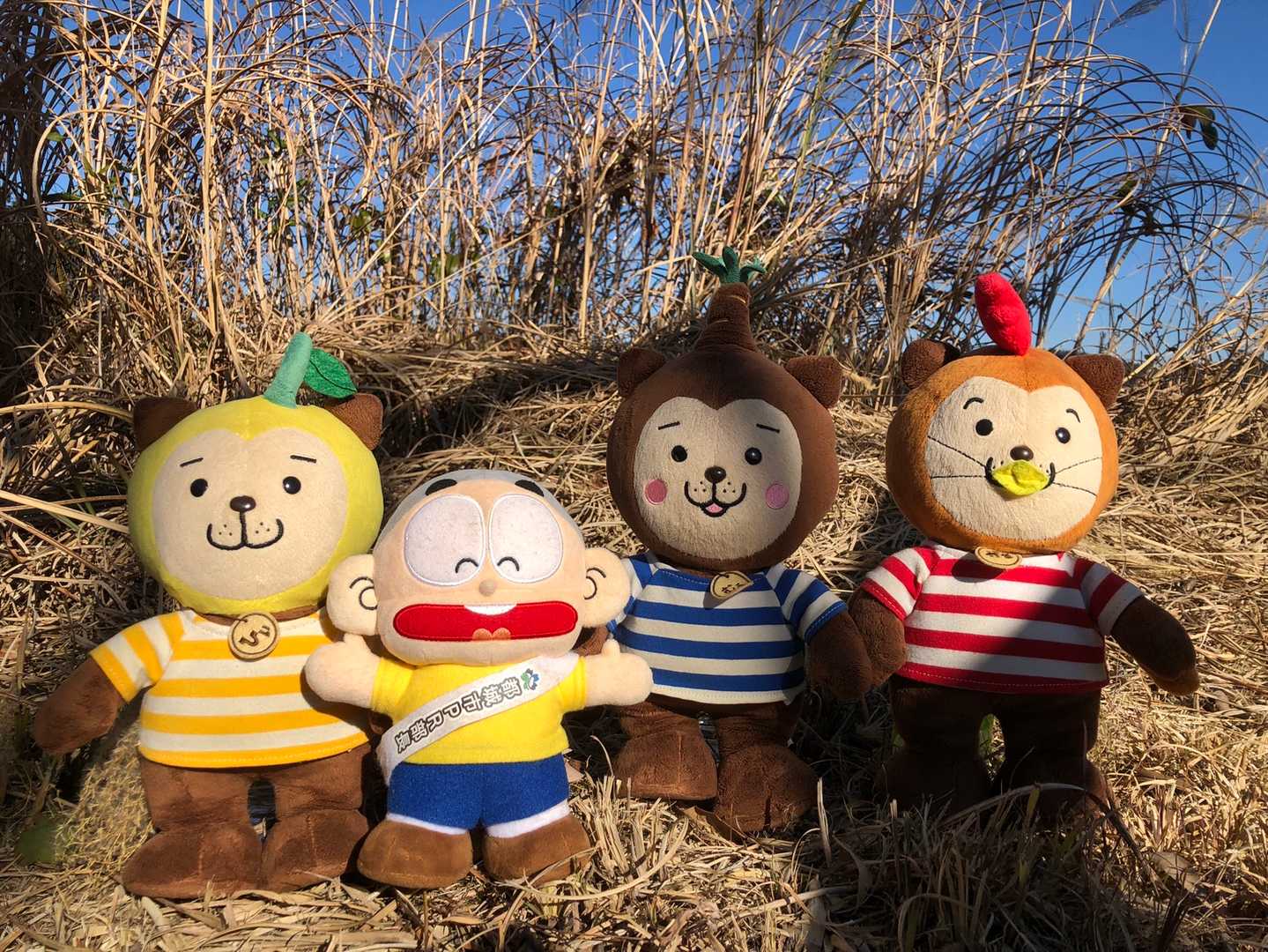 ひぃ「此処が星ヶ尾山か。話に聞いた通り、鉄塔が建ってるね。」

かぁ「3年ぶりに来たぞ。」

むぅ「わたしもなの。」