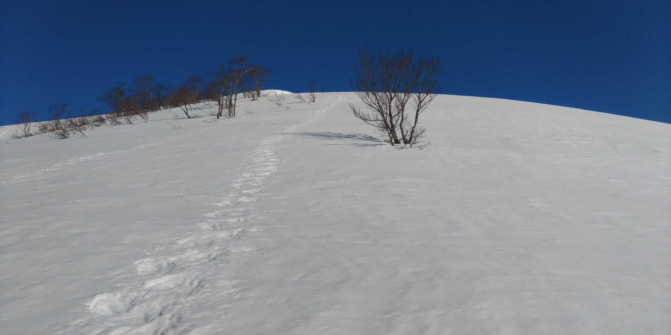 白倉岳へのビクトリーロード