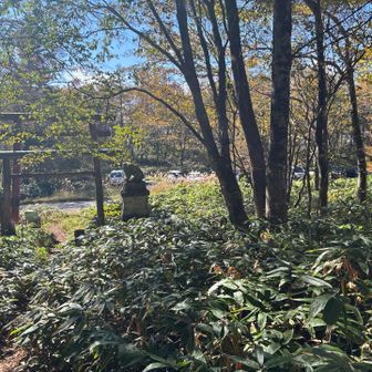涼しくて予定より30分早く下山出来ました