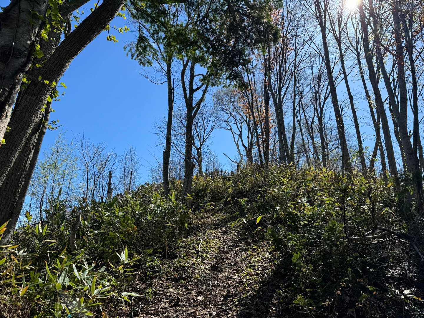山頂へ‼️