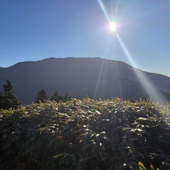 大判山からの恵那山大きいね