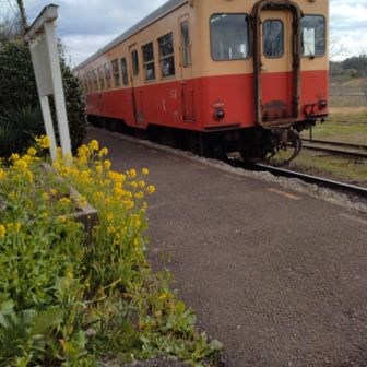 林道ウォーカー