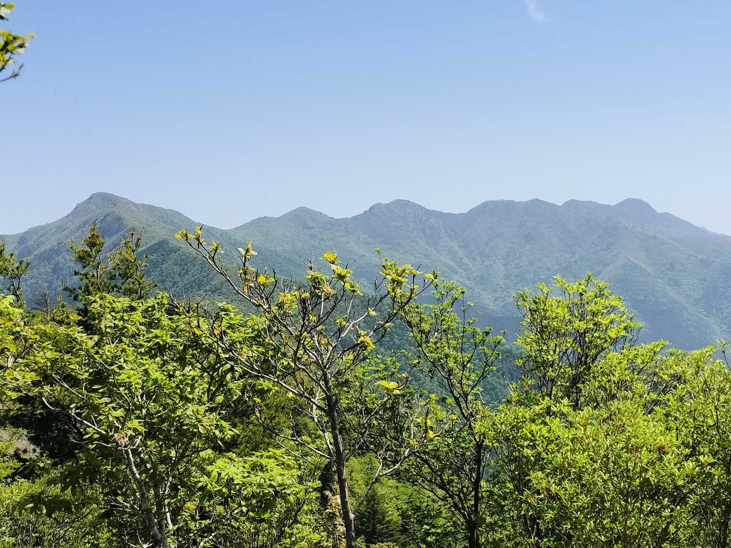 １番左は西赤石山かな