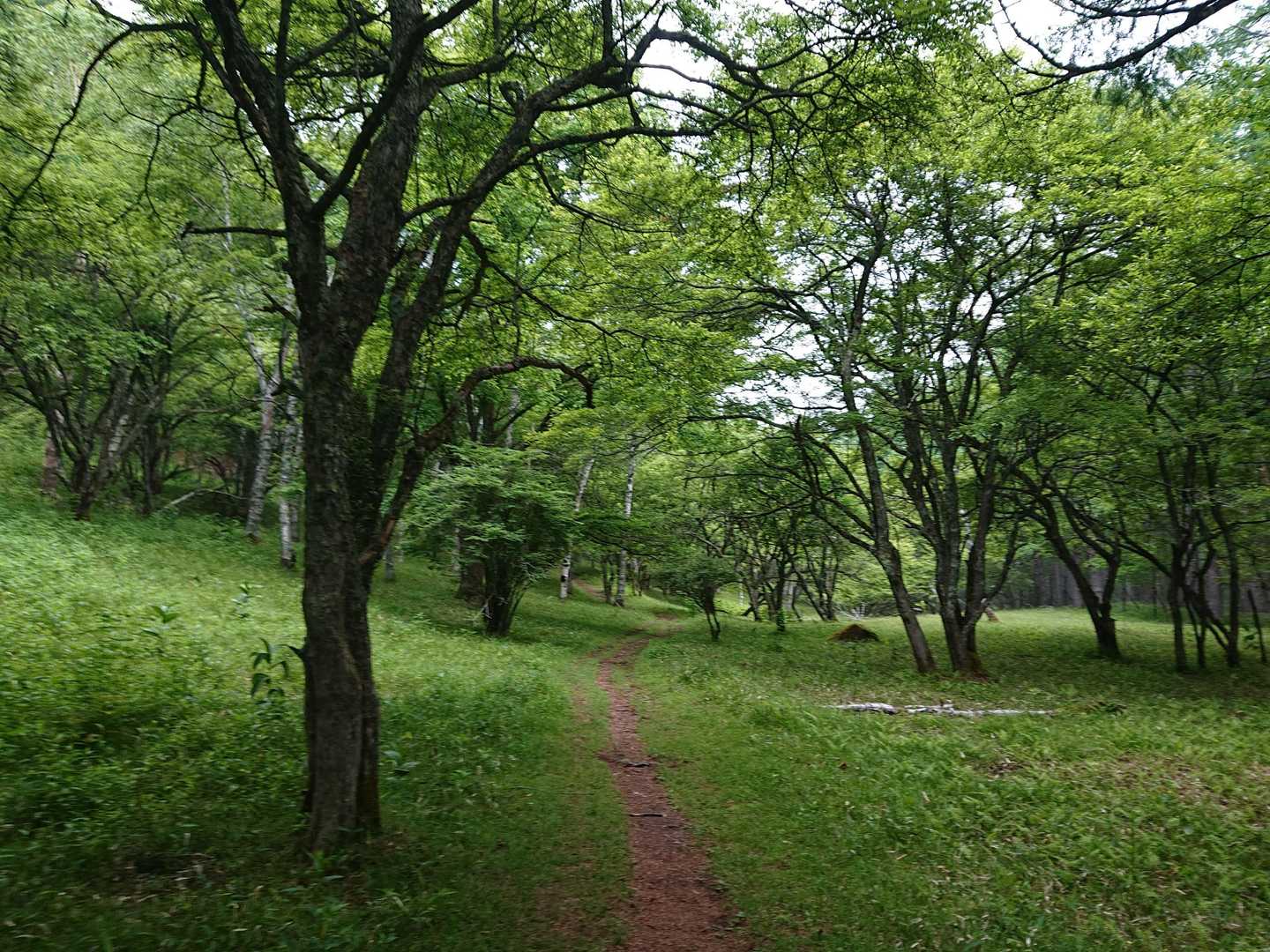 涼しい🤗
