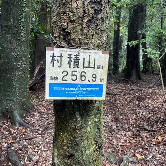 山頂まですぐすぎた