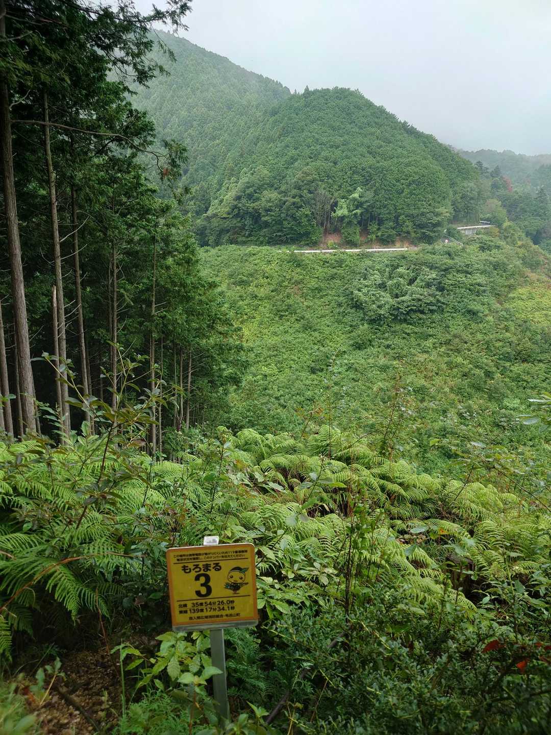 日和田山登山口-金刀比羅神社-日和田山-物見山 往復コースの写真