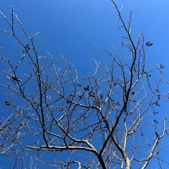 赤城山ブルー😁