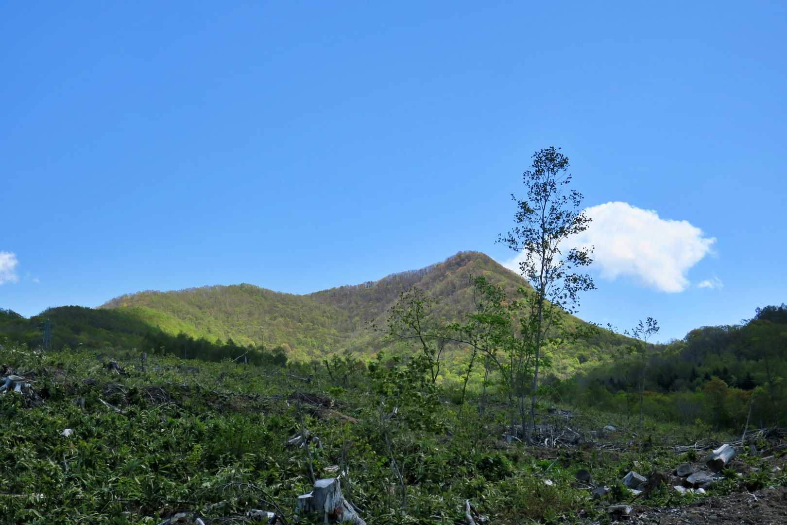 あれが山頂？多分、西峰か？