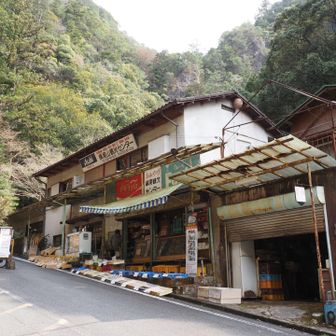 槙尾山観光センター
昭和感漂う風情。