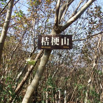 桔梗山山頂です。