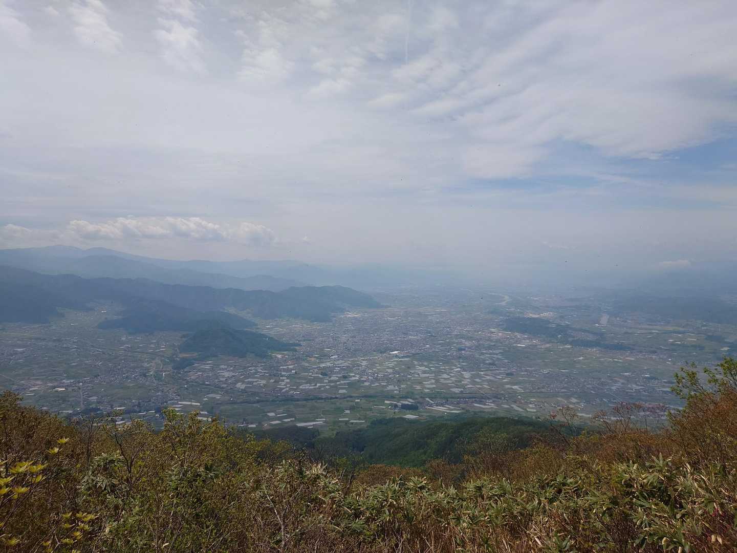 これが見たかった✨