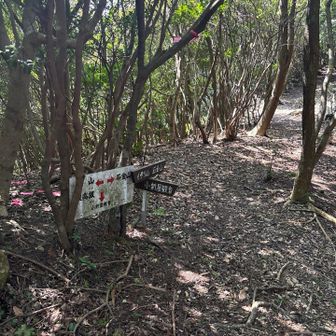 取り敢えず金石山方面へ。帰りはここまで戻って小新屋観音方面へ。