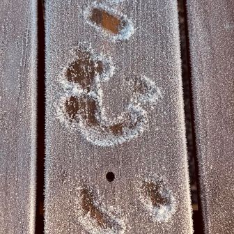 養老渓谷駅前に車を止め梅ヶ瀬渓谷へ
車の外気温はマイナス２℃
駅前のテーブルには霜が降ってます