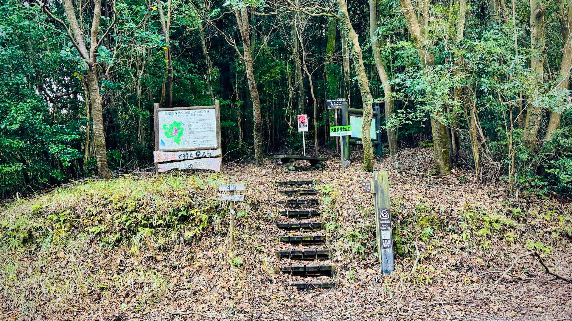 出発地点より約2.5km  🚶‍♂️所要約30分…本来の“垂桜コース登山口”到着
計画より往復約5km 余計に歩く事となりました😢
“大箆柄岳 垂桜コース登山口”
https://maps.app.goo.gl/ZQGDTrPCJndEyQSu6?g_st=ic