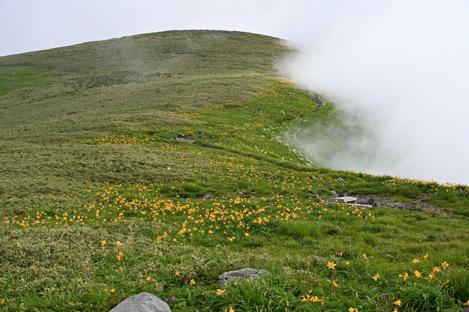 大平登山口-笙ガ岳 往復コースの写真