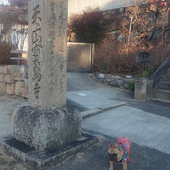 巡礼12番とあるのは南備88ヵ所、24番とあるのは次が真備の蓮花寺とあるから備中西国33観音みたいだ