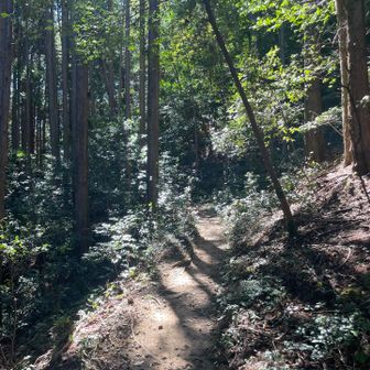 登りの中級者コースはやっぱりいいねー