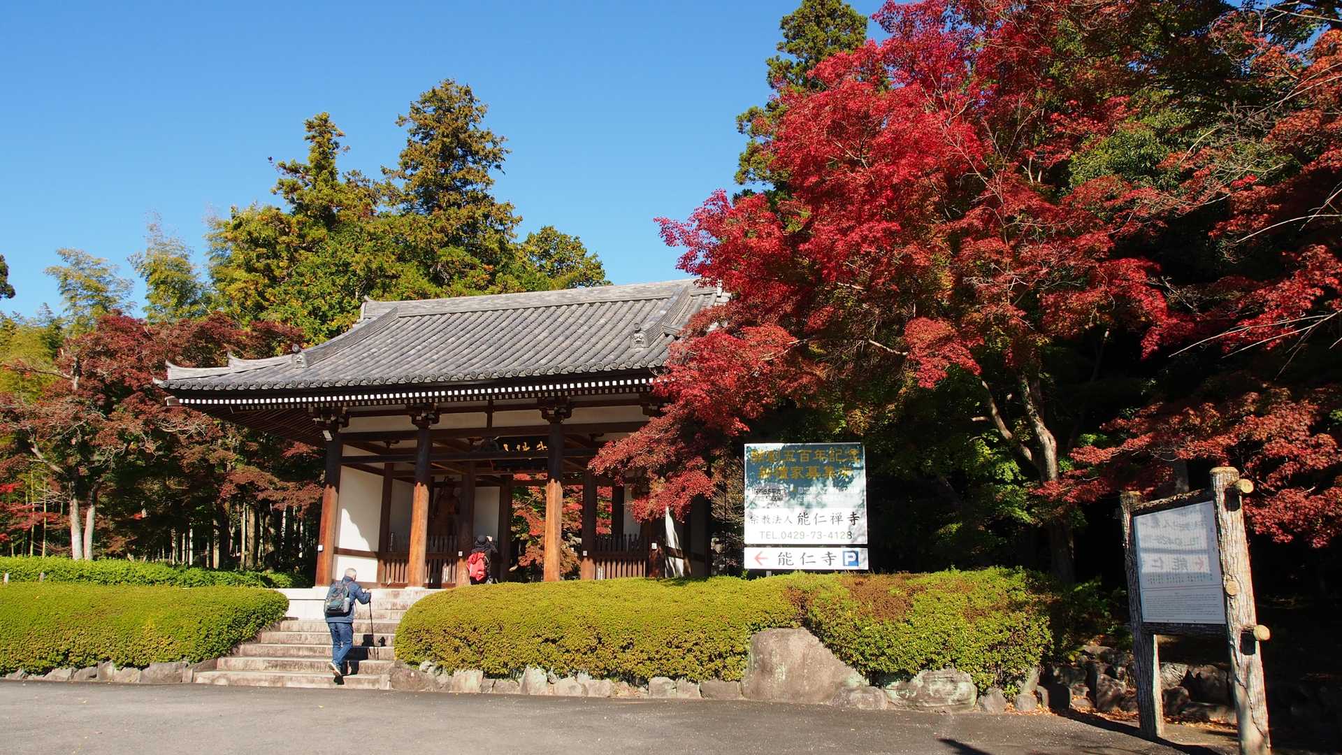 能仁寺入口のもみじは真っ赤