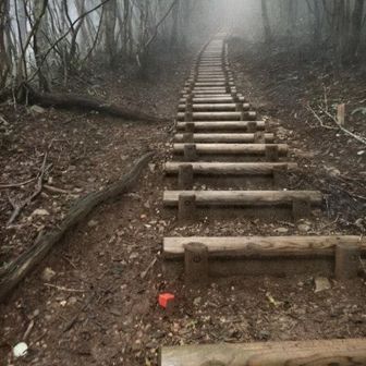 阿波竜王頂上への木段が結構きつい