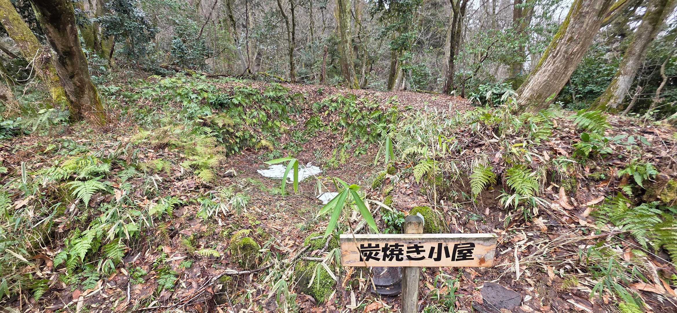 城山 往復コースの写真