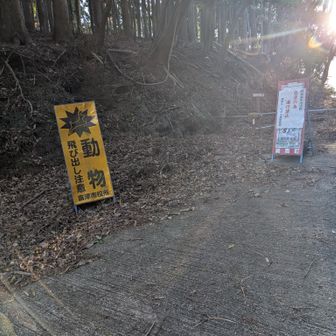 林道を越えてからはバリ
登り口が分かりにくい、ちょっと左手にロープあり