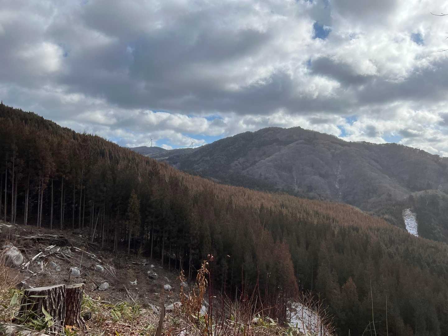 往生山登山口-極位峰-往生山 周回コースの写真