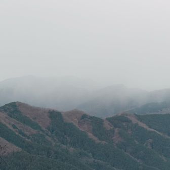 雪が降っています。