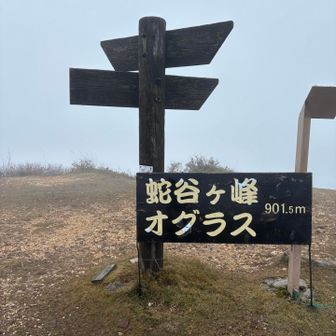 蛇谷ヶ峰🚩901m   予想通り真っ白😭