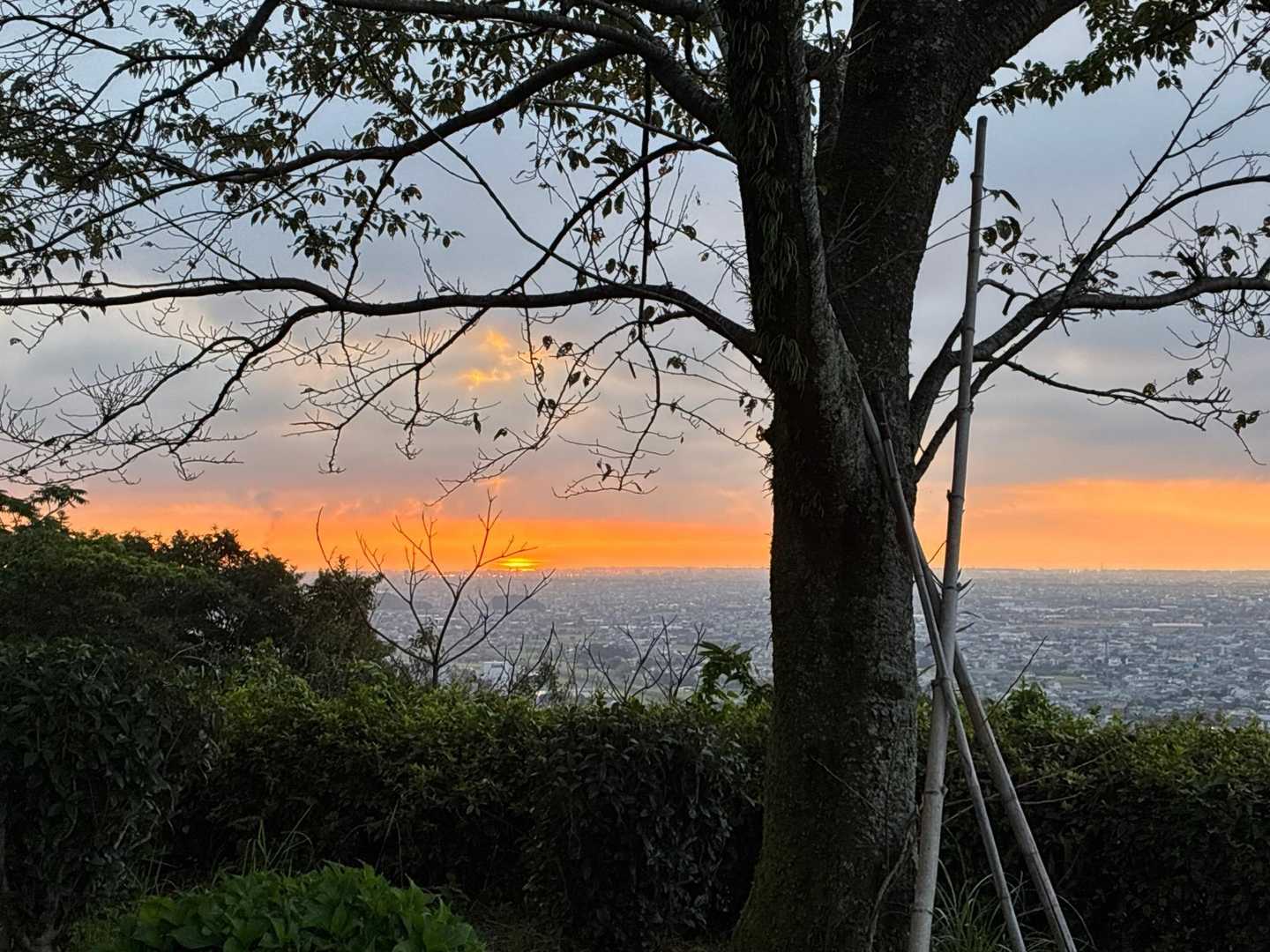 朝焼けの志太平野