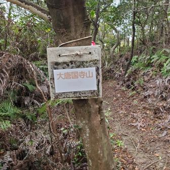 山頂はメインルートから1～2分ほど外れた場所にありました。