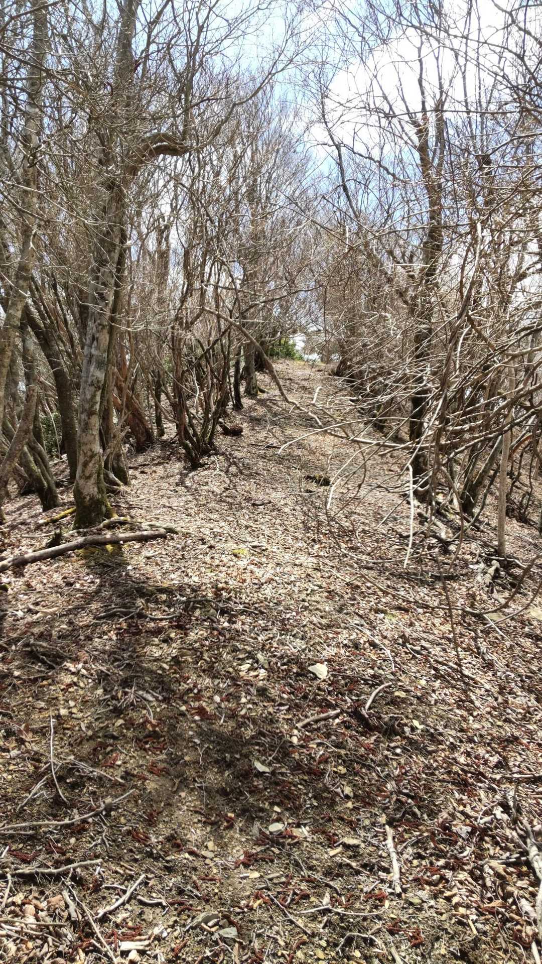 登りまーす！
さーむーいー！