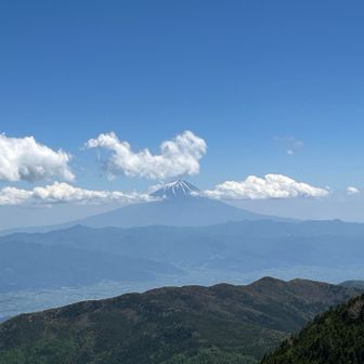 富士山が顔を出してくれました。