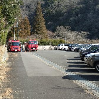 駐車場がいっぱいになってる🚗