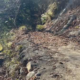 ここから下りて来た