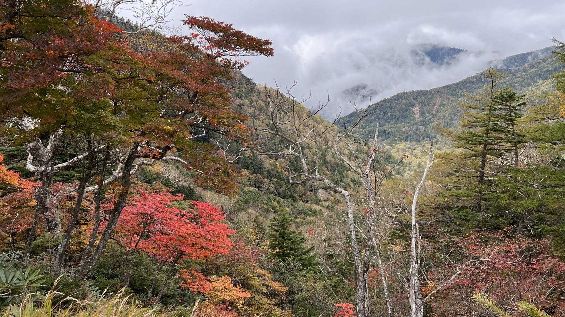 金精峠登山口-金精峠-金精山-温泉ヶ岳 周回コースの写真