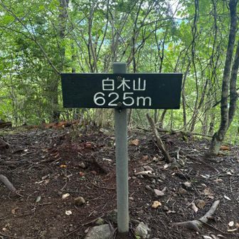 白木山登頂〜
この辺はピーク間の距離もアップダウンも少ないです