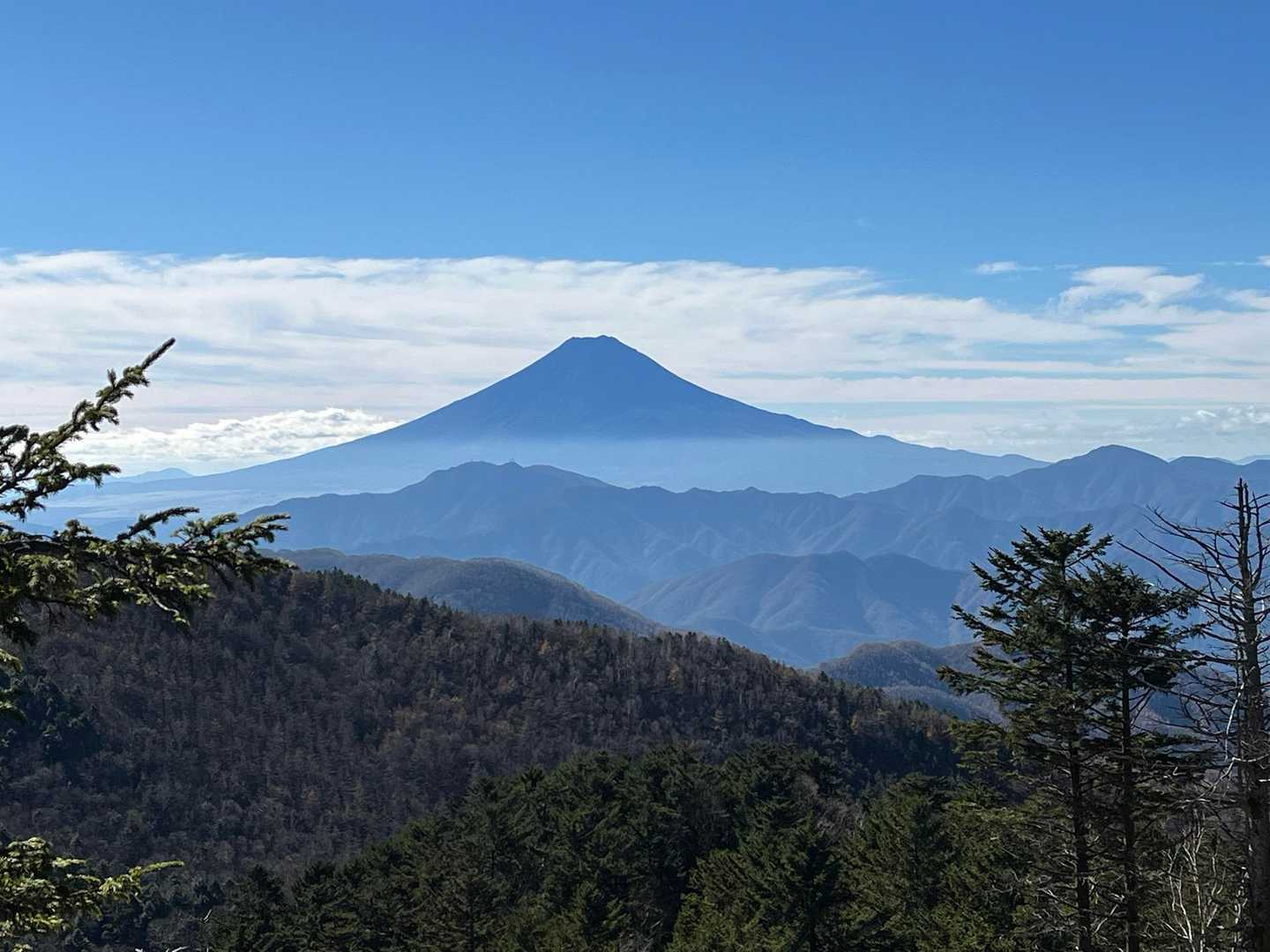 牛奥ノ雁ケ腹摺山からの眺め
それはそれなりに良い眺め