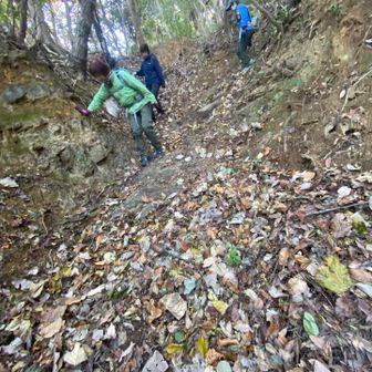 下山は東ルートで。わりと急坂