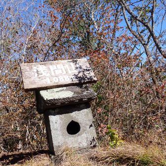 牛十二の大きな石祠よりは小さいですが、浅間山の石祠も、立派です。