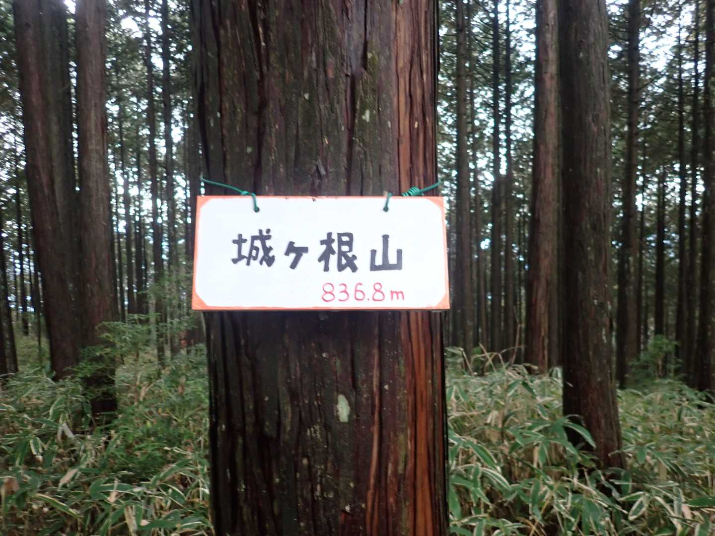 約１年前に設置したプレート健在。