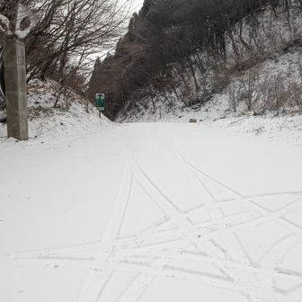 本とは先の登山口までと思ったのですが、雪の量がすごくここから登ることにしました。
