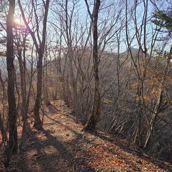 倉岳山へ向かう頃には…だいぶ陽が傾いてきております(´Д｀；)