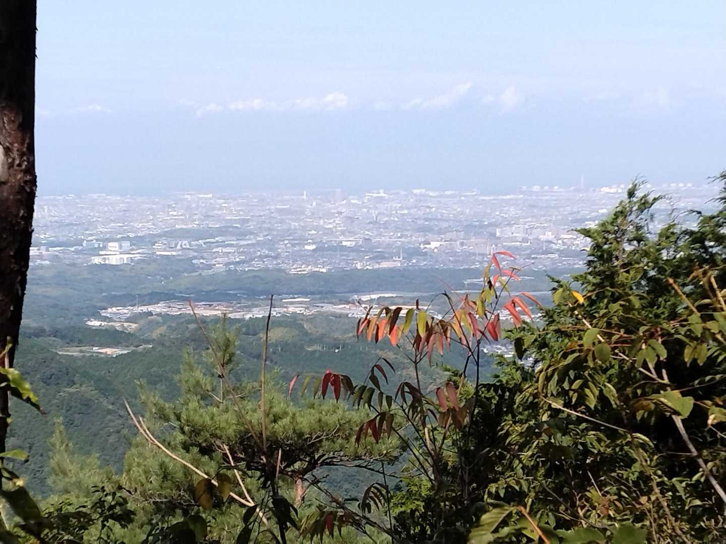 施福寺-槇尾山バス停 縦走コースの写真