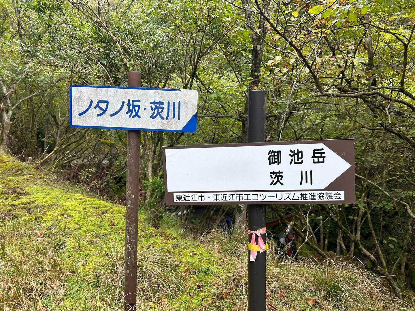 ここまで来たら、駐車地までもう少し、🌧️が…