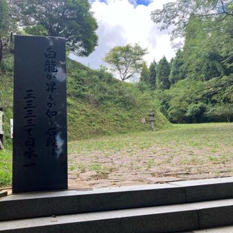 到着時は団体さんがおられてので撮れなかったので、帰りに📸
ここまではそこそこ元気があるが、いつも降りるのがなかなか大変💦2回目に踏み切れない