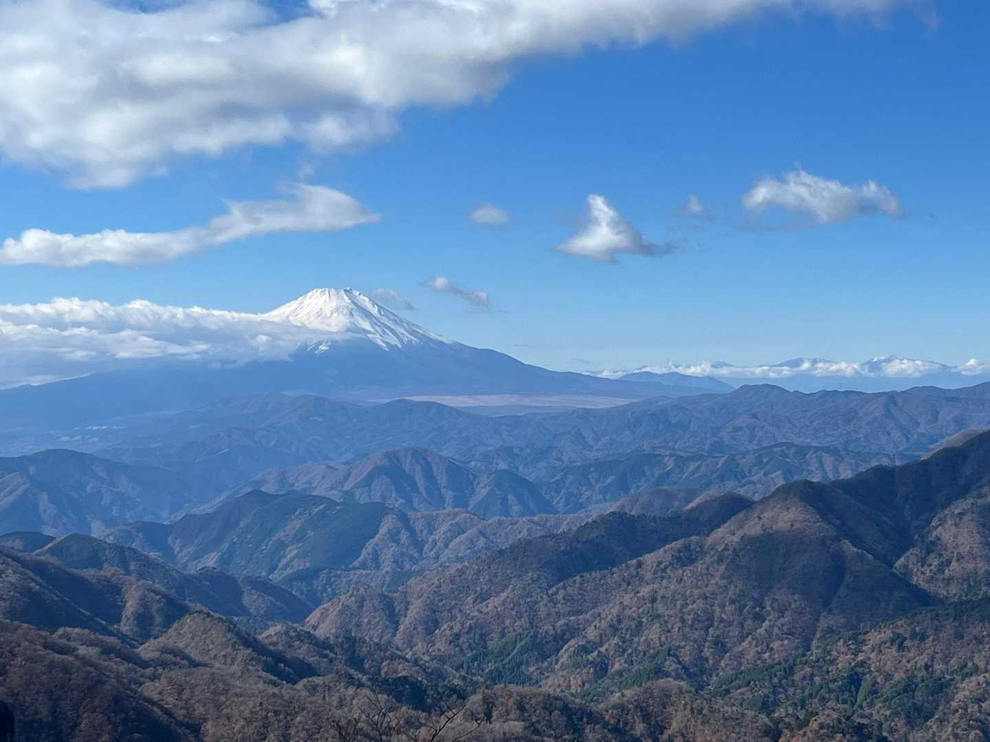 菩提峠-表尾根-塔ノ岳-丹沢山 往復コースの写真