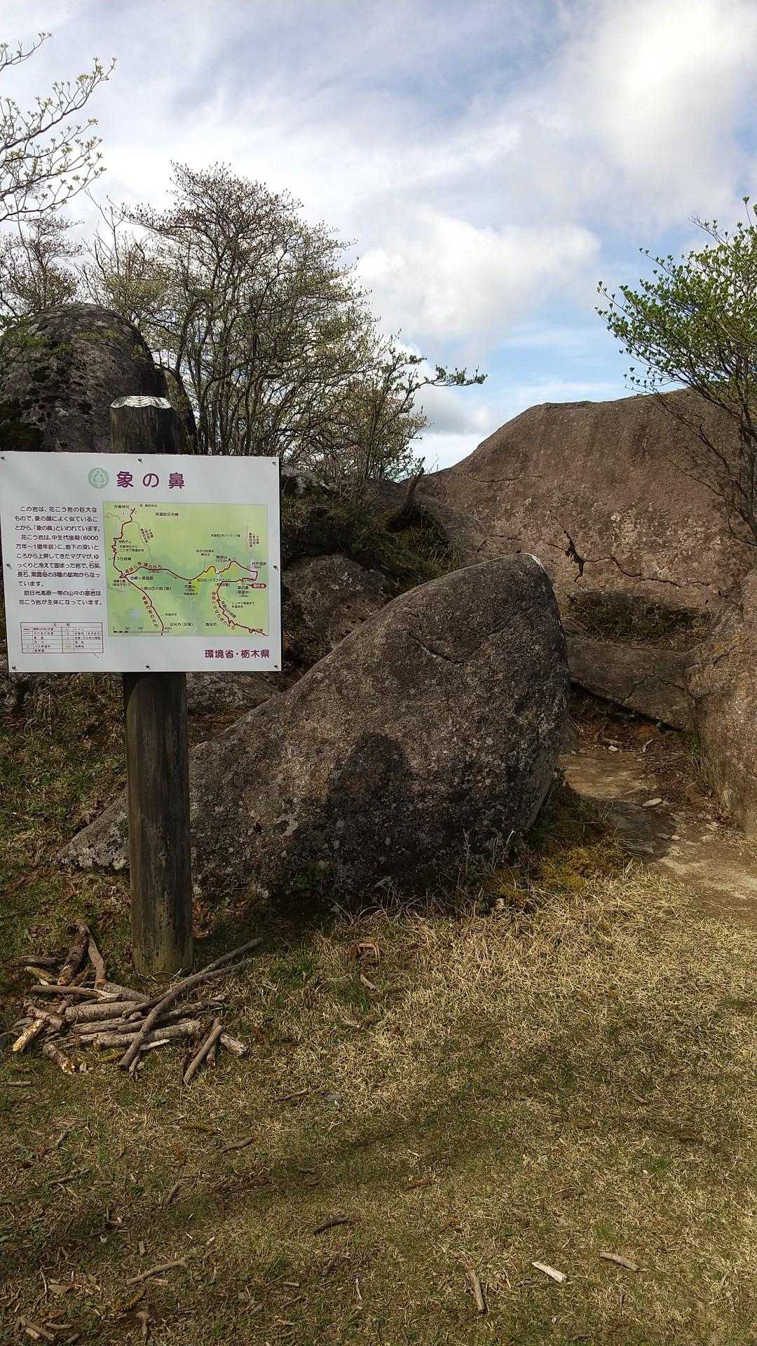 象の鼻